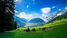 KASHMIR